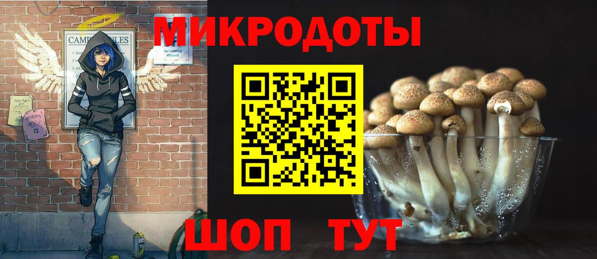 Псилоцибиновые грибы мухоморы Армавир
